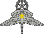 US Military Master Freefall Parachutist Badge with gold Combat Jump Device.png