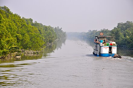 Tour boat in the Sundarbans