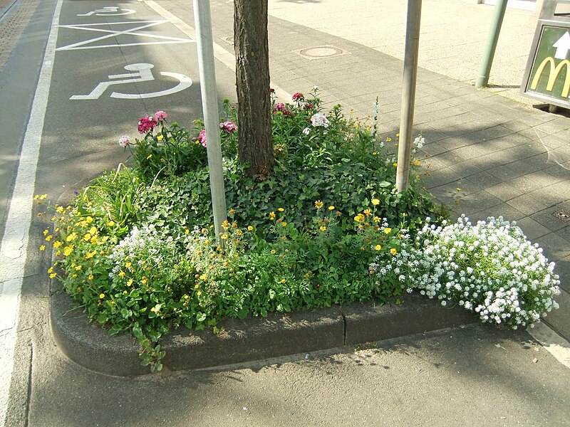 File:Urban Gardening Bielefeld.JPG