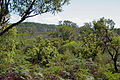 wikimedia_commons=File:View across Booti Booti - panoramio.jpg