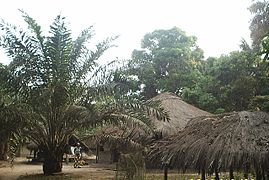 Villaggio di nativi.Bofanet Guinea