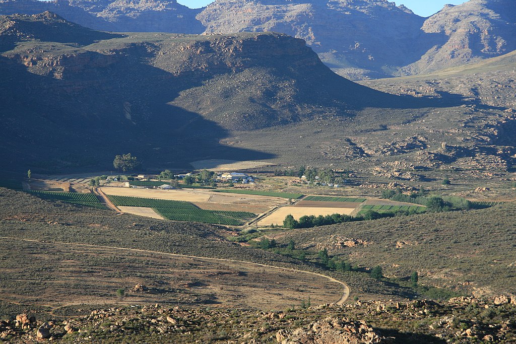 Vineyards in the Cederberg - South Africa