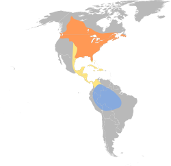 Distribución geográfica del vireo ojirrojo (excluyendo el complejo Vireo chivi).