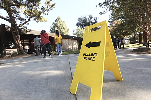 Voters line up outside a polling place in California. Photo by  Owen Yancher. reative Commons Attribution-Share Alike 4.0 International license.