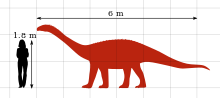 Size comparison Vulcanodon Size Comparison by PaleoGeek.svg