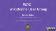 Miniatuur voor Bestand:WDG - WikiDonne User Group (Libera Informatica).pdf