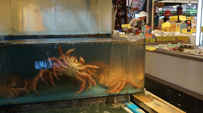 Crabs for sale at a market in Japan