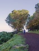 Walkers in the Mount Saint-Loup, Agde 01.jpg