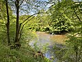 naturnahe Wupper (NSG) bei Friedrichsaue