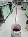 Water bucket for Torricelli experiment.jpg