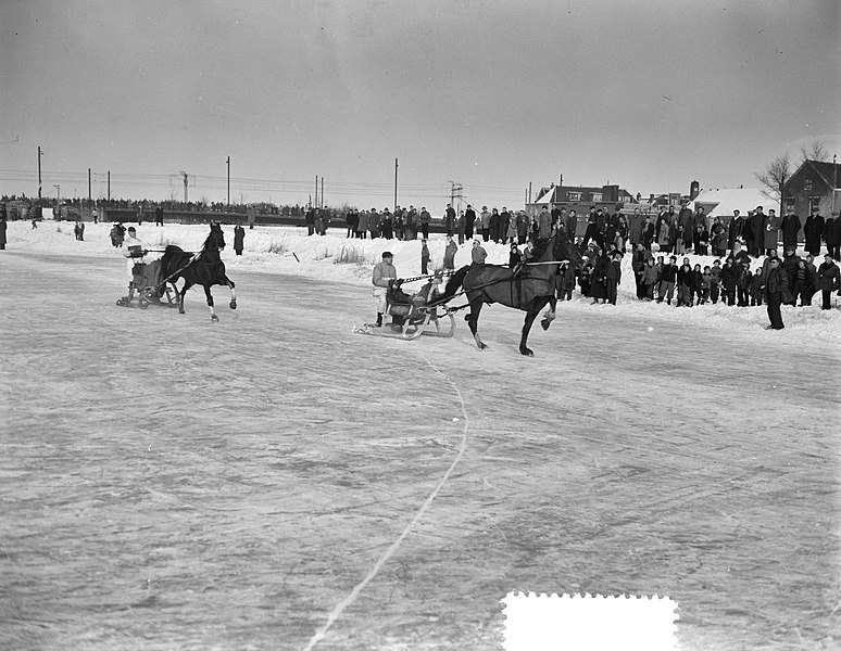 File:Wedstrijden per arreslee te Halfweg op het ijs, Bestanddeelnr 907-6011.jpg