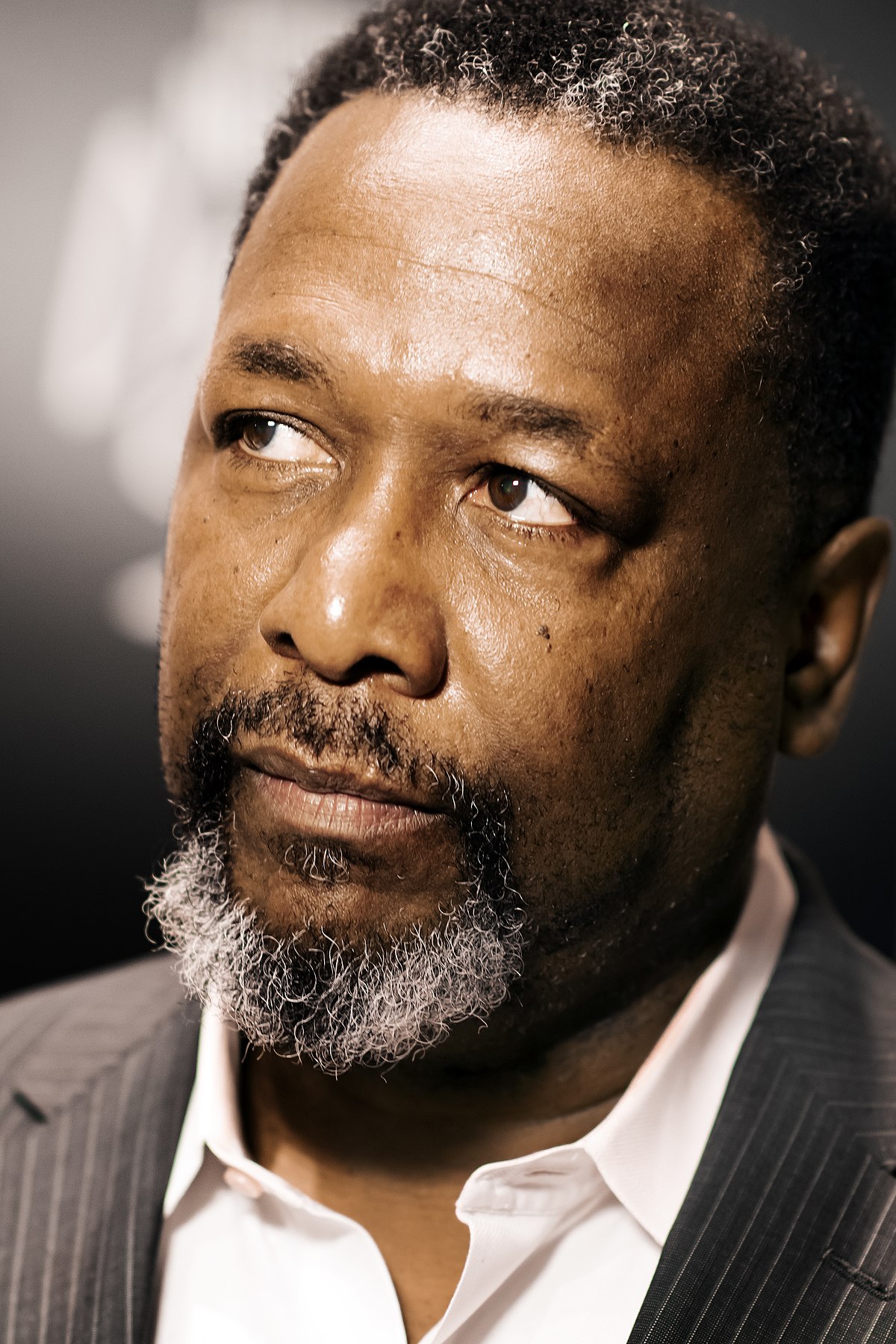 https://upload.wikimedia.org/wikipedia/commons/thumb/5/50/WendellPierce.jpg/1200px-WendellPierce.jpg