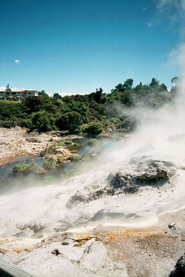 Geothermal activity at Whakarewarewa