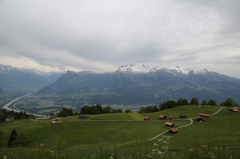 File:Wikiolo in Liechtenstein (316).jpg