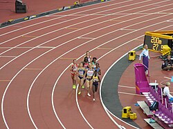 Women's 800m heats (36561713935).jpg