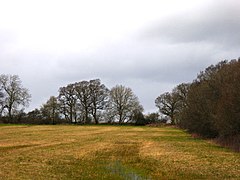 Woodsides Meadow (2) .jpg