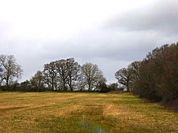 Woodsides Meadow (2).jpg