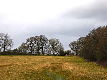 Woodsides Meadow (2)