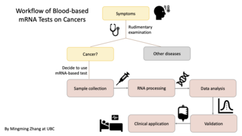 Workflow of blood-based mRNA test on specific cancers. Workflow of Blood-based mRNA Tests on Cancers.tif