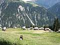 Zalön,vista in sül Pass del Glas