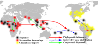 Thumbnail for Zika virus outbreak timeline