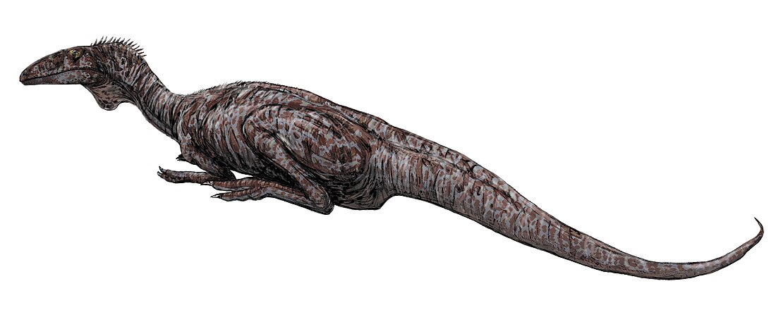 File:Zupaysaurus.jpg