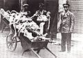 Image 1Emaciated corpses of children in Warsaw Ghetto.