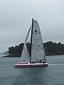 Le trimaran rose d'Anne Caseneuve vu depuis l'île Berder.