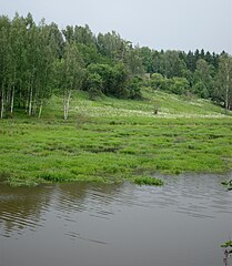 Uitzicht op de rivier Vorya
