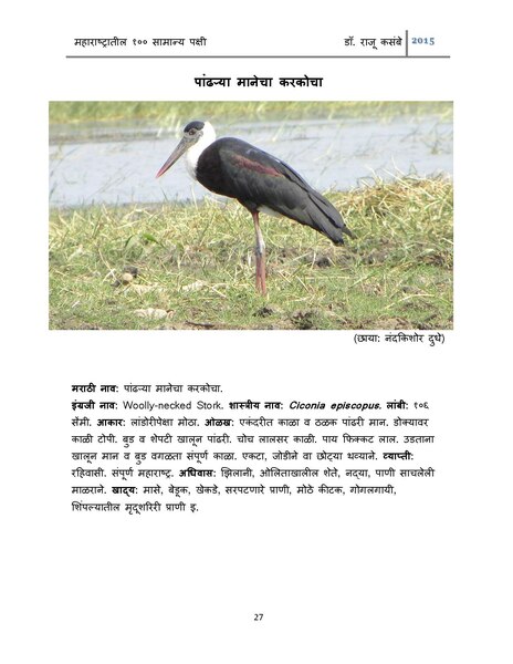 E-Book 100 Common Birds in Maharashtra Marathi (2).pdf