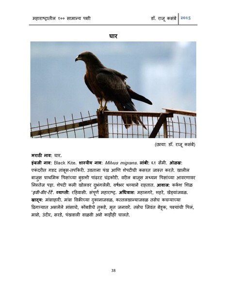 E-Book 100 Common Birds in Maharashtra Marathi (2).pdf