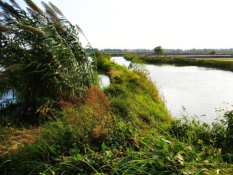 File:原上坝圩圩埂 - panoramio.jpg