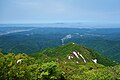 2021年6月26日 (土) 11:56時点における版のサムネイル