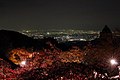 阿夫利神社からの夜景