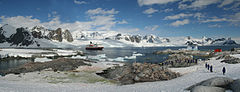 Penguin colonies, cruise ship and tourists