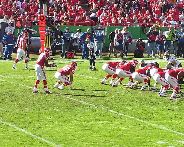 Johnson lining up in the Wildcat formation in 2008