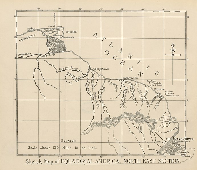 File:10 of 'Adventures amidst the Equatorial Forests and Rivers of South America; also in the West Indies and the wilds of Florida. To which is added “Jamaica Revisited.” ... With many illustrations and maps' (11211970113).jpg
