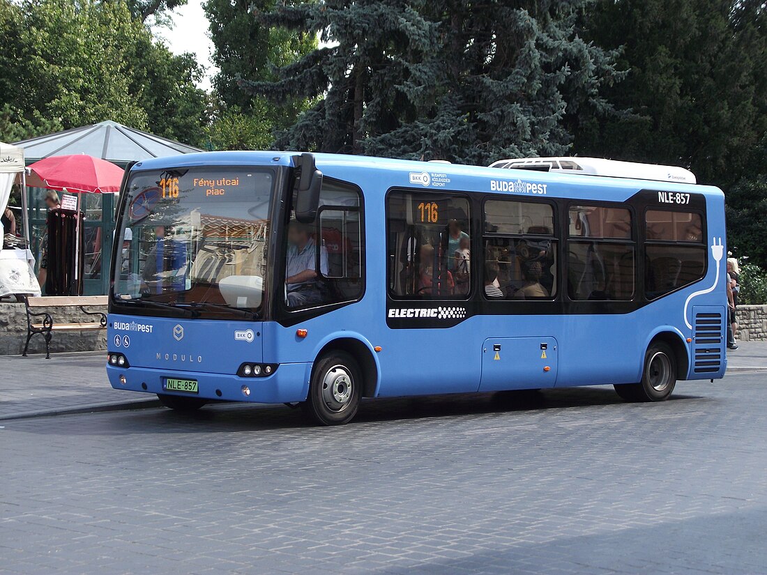 116-os busz (Budapest)