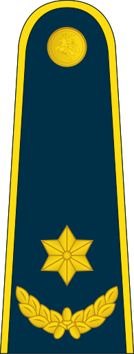 File:16-Lithuania Air Force-MAJ.svg