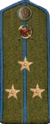 погон 1943