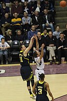 Nik Stauskas - Wikipedia