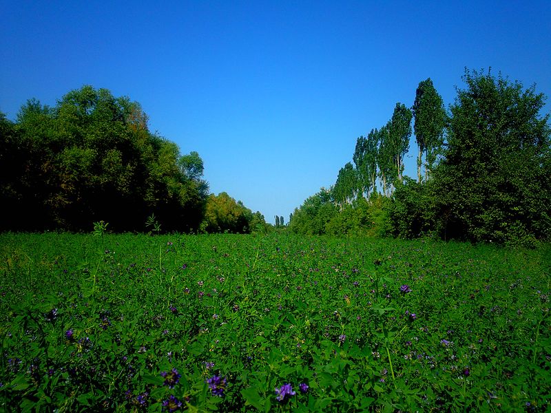 File:2015-07-18-0813 Hulovlu village, Khachmaz region, Azerbaijan.jpg