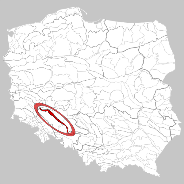 File:318.52 Pradolina Wrocławska.png