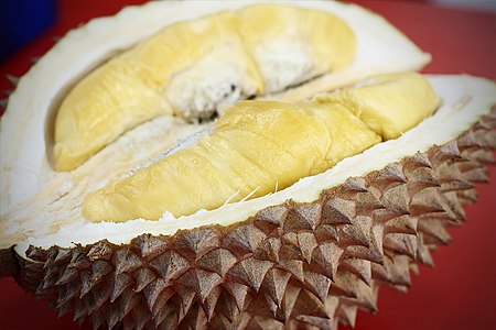 Musang King