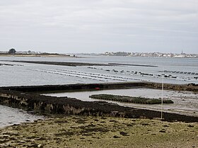 Petite mer de Gâvres: voormalige oesterkwekerij in het westelijke deel van het eiland Kerner.