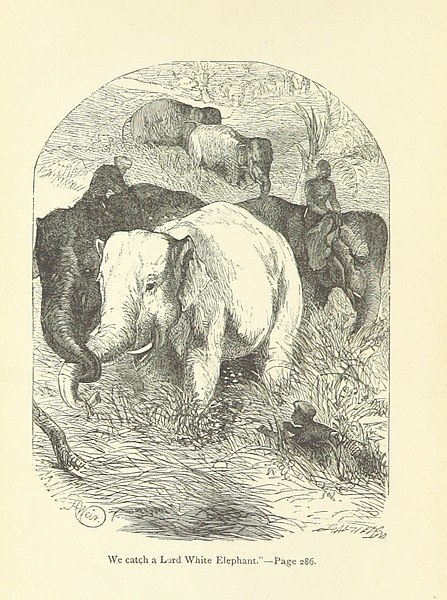 File:6 of '(The White Elephant; or, the Hunters of Ava and the King of the Golden Foot ... With illustrations by Harrison Weir.)' (11290370984).jpg