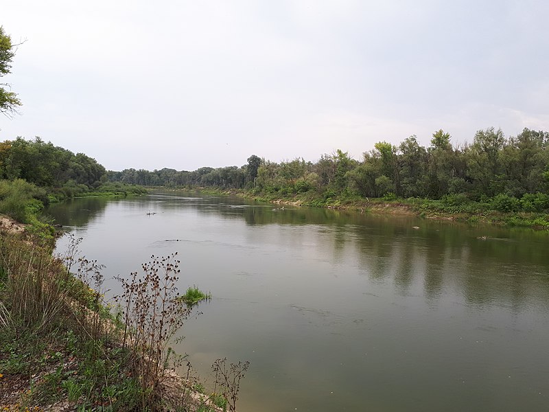 File:7497.1. Khopyor River in Alfyorovka.jpg