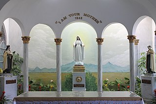 <span class="mw-page-title-main">Mediatrix of All Grace offending religious feelings case</span> 2022 Filipino criminal lawsuit