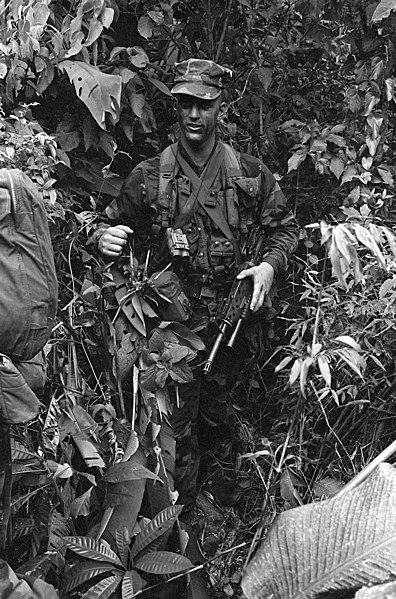 File:A Marine from Company D, 2nd Light Armored Infantry Battalion, moves through the brush during Operation CHEYENNE, a reconnaissance patrol in the jungle area west of Howard Air Force - DPLA - 5f1f9e199da5f74679e552ba59a224ac.jpeg