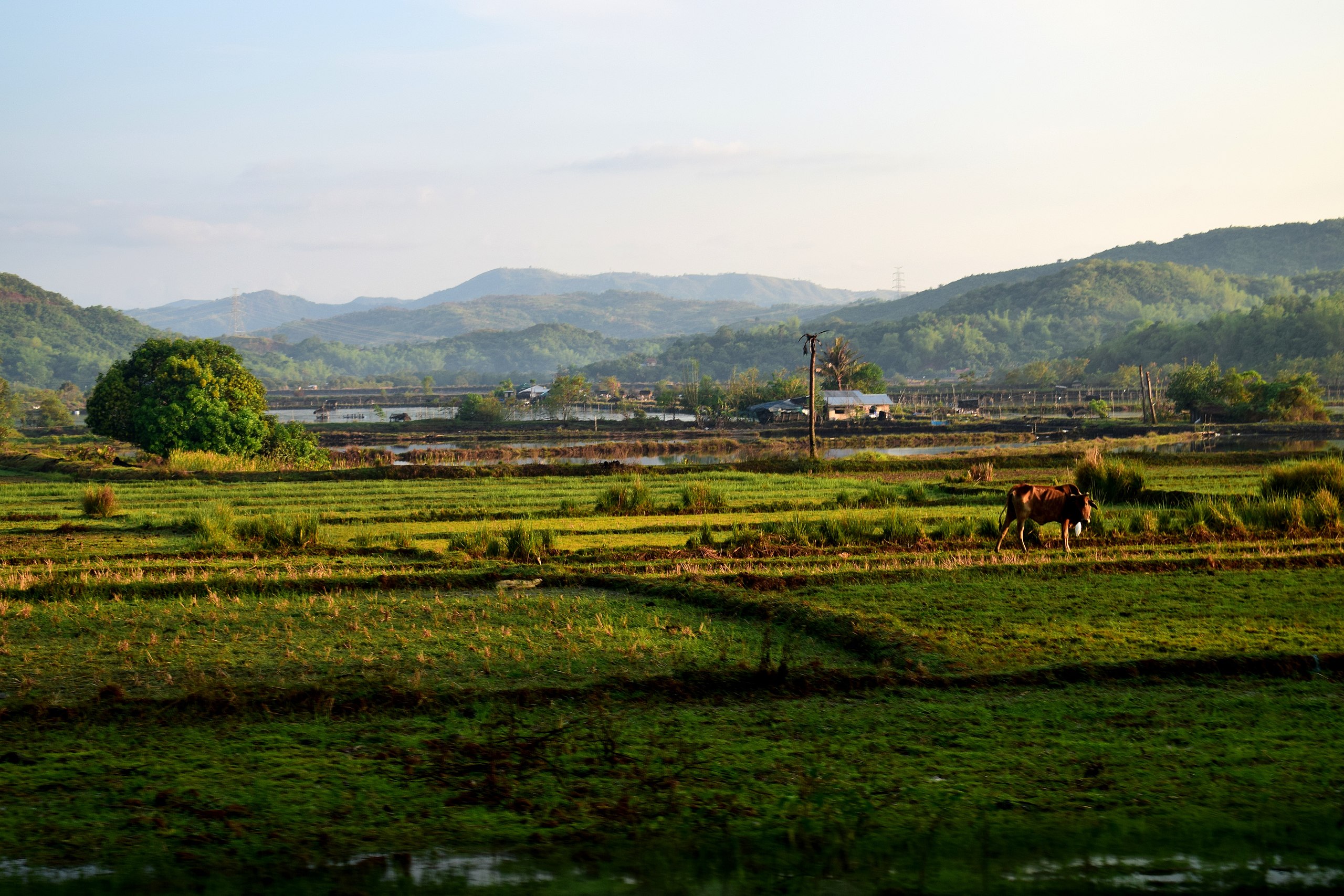 2560px-A_beautiful_landscape_of_nature.j